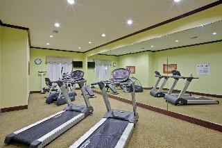 Holiday Inn Express Hotel & Suites Dumas
