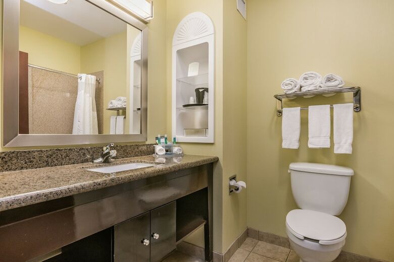 Holiday Inn Express Hotel & Suites Dumas