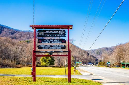 Mountain Joy