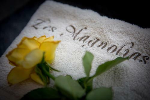Holiday Homes Les Magnolias