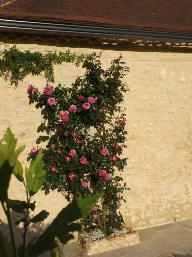 Bed & Breakfast Au Calme