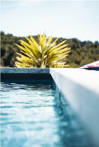 Sous Les Pins