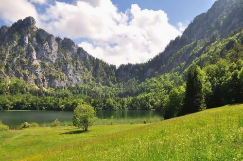 Apartamento Superbe Studio Au Pied Des Pistes