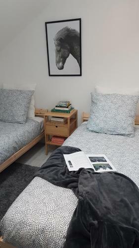 Apartamento Horse And Homes