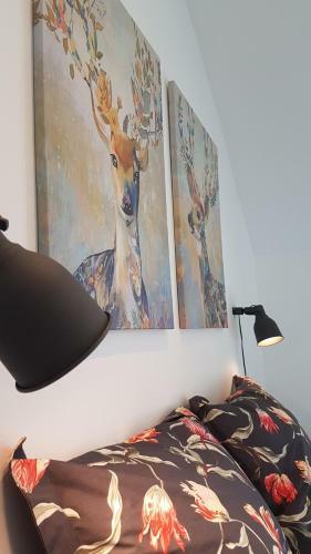 Apartamento Horse And Homes