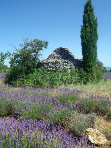 Bed & Breakfast La Mordor�e