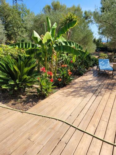 Apartamento 1262 Chemin Des Pignatelles