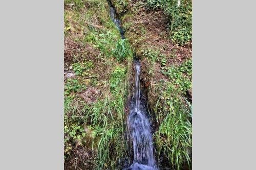 Petit Coin de Paradis En Pleine Nature