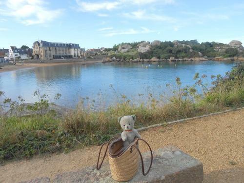 Bed & Breakfast La Tocade Del Arte - Dinan