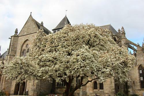 Bed & Breakfast La Tocade Del Arte - Dinan