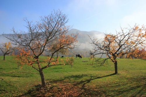 Bed & Breakfast La Colline Du Baa - Maison D'h�tes D'exception