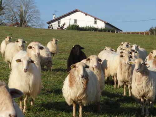G�te Gainzuria Au Pays Basque