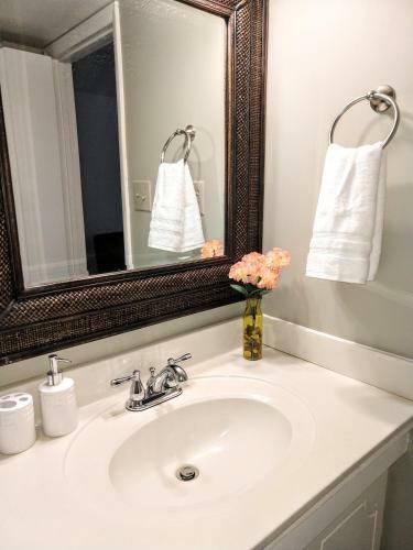 Apartamento Cozy Condo In Central Raleigh