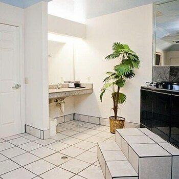 Motel Palace Inn And Suites Willowbrook