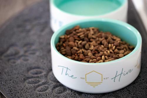 Hotel The Hive