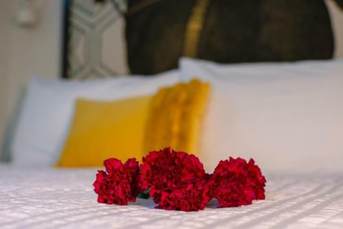 Hotel The Hive