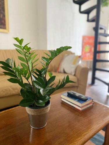 Apartamento Downtown Retro Retreat (The Loft)