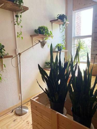 Apartamento Downtown Retro Retreat (The Loft)