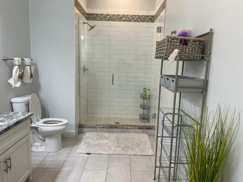 Downtown Luxurious 2 Bedroom Apartment