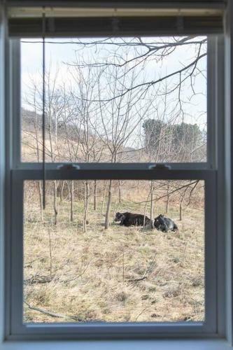 Route 62 Guesthouse