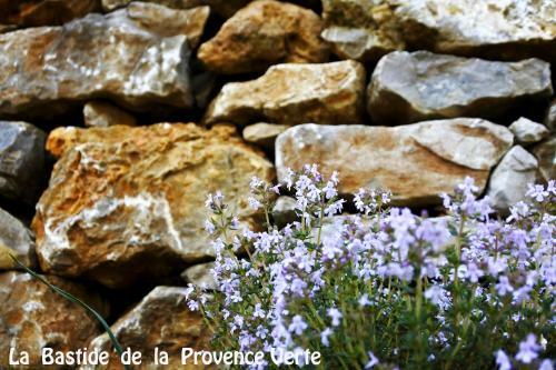 Hostal La Bastide de La Provence Verte
