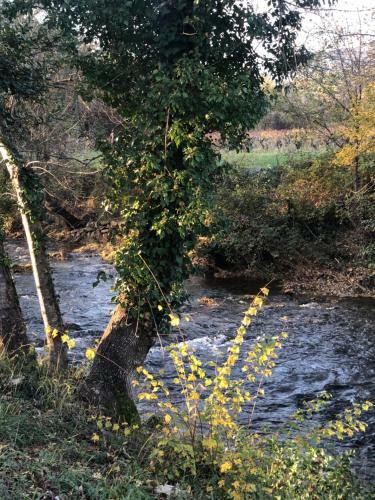 Une Pause A La Campagne