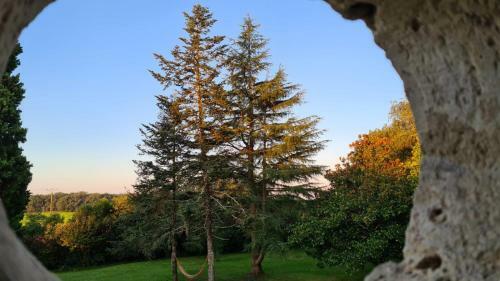 Bed & Breakfast La Chartreuse