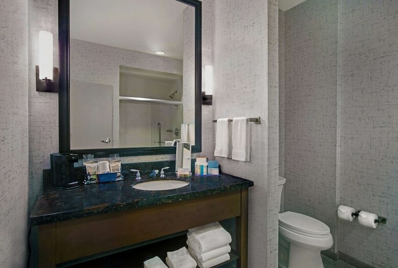 Hotel Hampton Inn And Suites Austin University Capitol