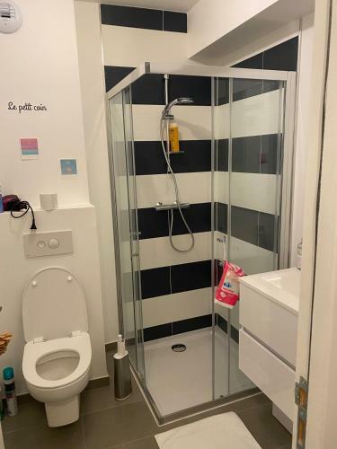 Apartamento Joli Petit Nid Douillet En Centre Ville