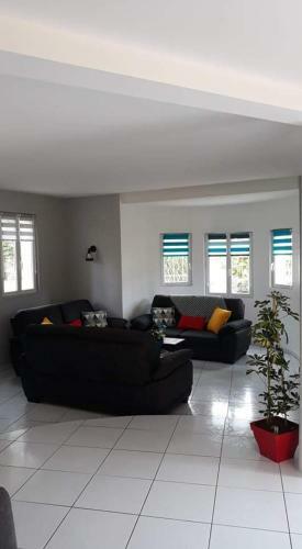 Villa Suzana