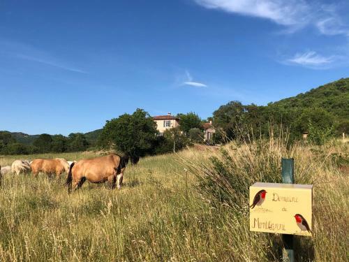 Bed & Breakfast Domaine de Montbarri