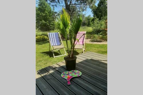 Chalet Calme Sur Le Bassin D'arcachon