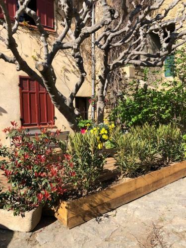 Apartamento Havre de Paix En Provence