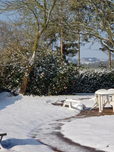 Bed & Breakfast Renard Retreat