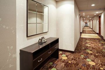 Hotel Holiday Inn Express Johnson City