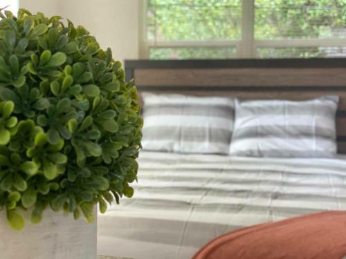 Apartamento Ou-walk To Campus , Downtown ; Designer Studio