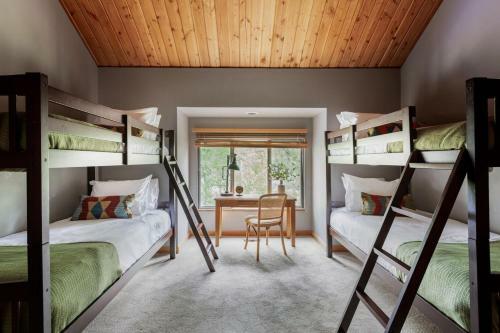 Salishan Lane - Skylight