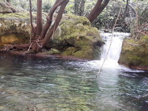 Holidays In Provence Alpes Maritimes