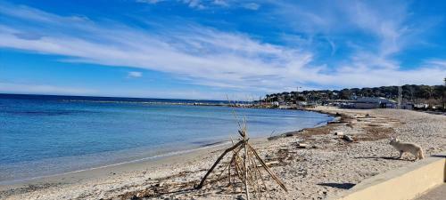 Holidays In Provence Alpes Maritimes