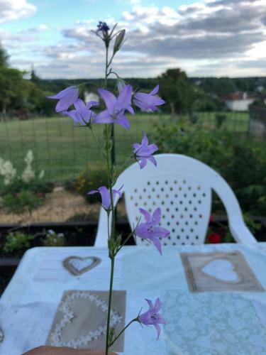Bed & Breakfast The Walnut Tree Chambre D'hotes