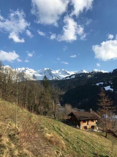 Apartamentos La Marmotte Qui Papote