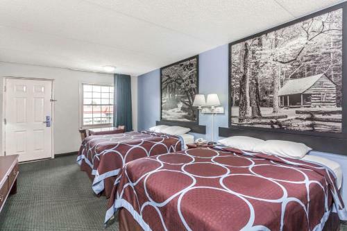 Super 8 Hotel Of Kingston