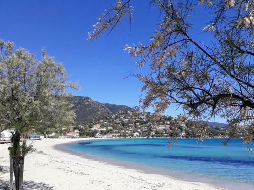 Apartamentos Appartement Duplex - 100m de La Plage de St Clair