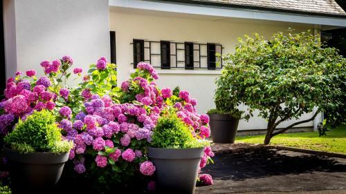 Bed & Breakfast Le Champ Du Renne