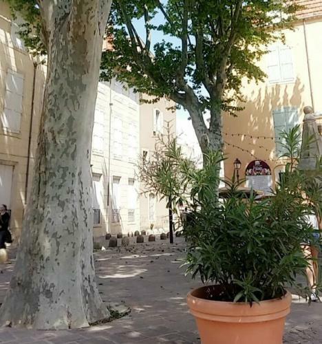 Apartamento Agreable Studio Vue Port Au Cap D'agde