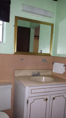 Motel Executive Lodge