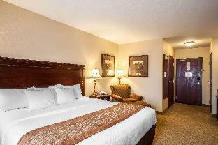 Hotel Comfort Inn & Suites