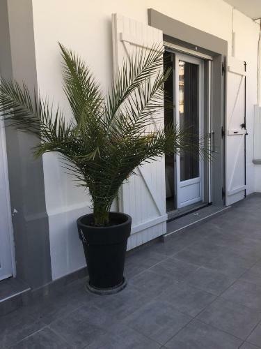 Apartamento La Perle Marine