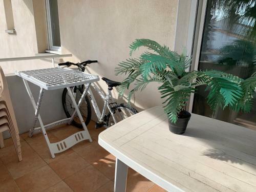 Apartamento R�sidence Mayflower