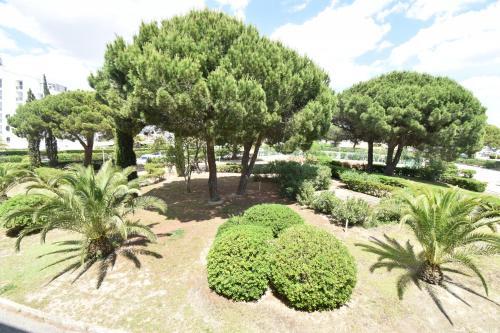 Apartamento Studio Cabine 5 Couchages Chabian Avec Piscine